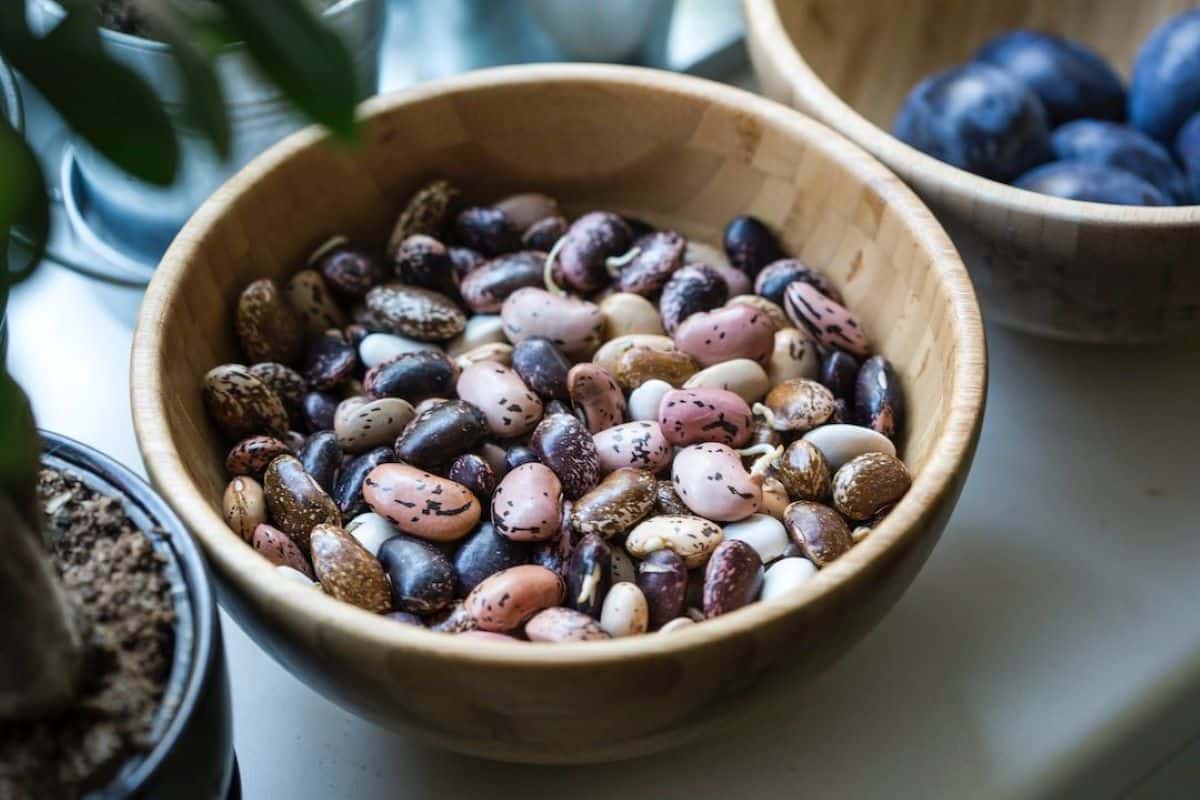 Wooden bowl filled with pinto beans